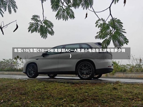 车型c10(车型C10一D标准版鼓AC一A雅迪小电动车五块电弛多少钱)