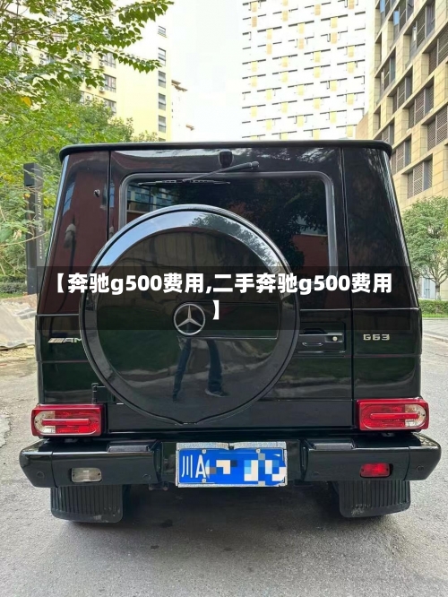 【奔驰g500费用,二手奔驰g500费用】