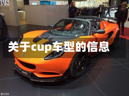 关于cup车型的信息