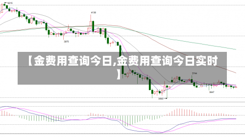 【金费用查询今日,金费用查询今日实时】