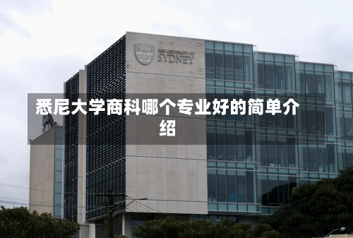 悉尼大学商科哪个专业好的简单介绍