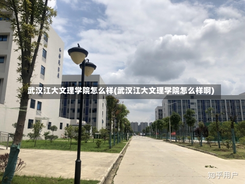 武汉江大文理学院怎么样(武汉江大文理学院怎么样啊)