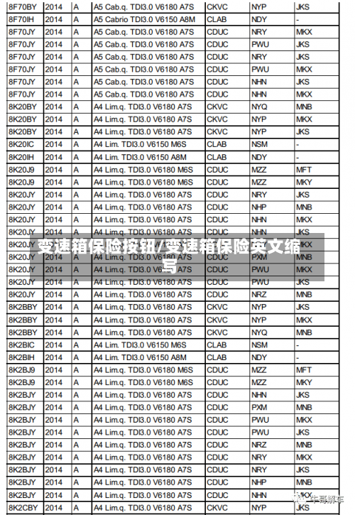 变速箱保险按钮/变速箱保险英文缩写