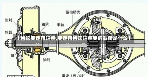 【齿轮变速箱轴承,变速箱齿轮轴承受的载荷是什么】