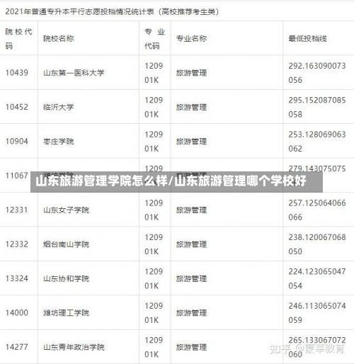 山东旅游管理学院怎么样/山东旅游管理哪个学校好