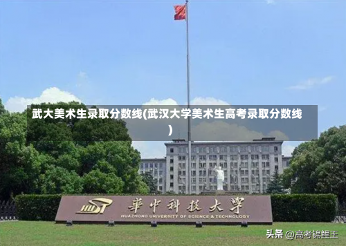 武大美术生录取分数线(武汉大学美术生高考录取分数线)