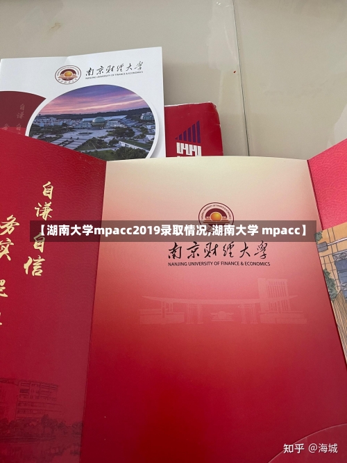 【湖南大学mpacc2019录取情况,湖南大学 mpacc】