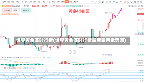 世界黄金实时行情(世界黄金实时行情最新费用走势图)