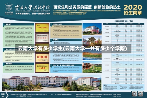 云南大学有多少学生(云南大学一共有多少个学院)