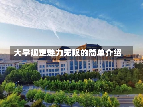 大学规定魅力无限的简单介绍