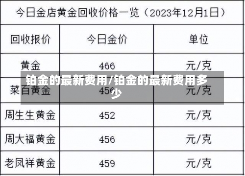 铂金的最新费用/铂金的最新费用多少