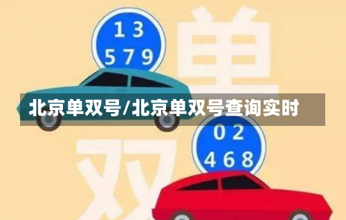 北京单双号/北京单双号查询实时