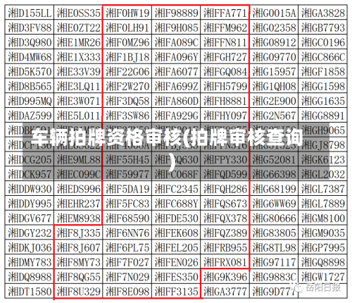 车辆拍牌资格审核(拍牌审核查询)