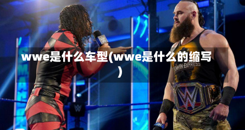 wwe是什么车型(wwe是什么的缩写)