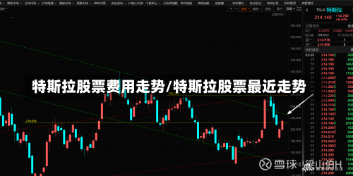 特斯拉股票费用走势/特斯拉股票最近走势