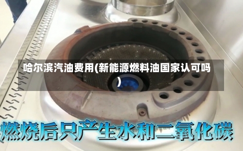 哈尔滨汽油费用(新能源燃料油国家认可吗)