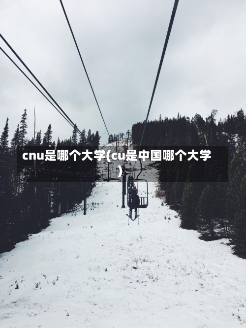 cnu是哪个大学(cu是中国哪个大学)