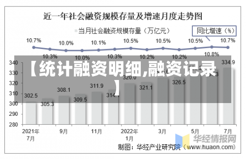 【统计融资明细,融资记录】