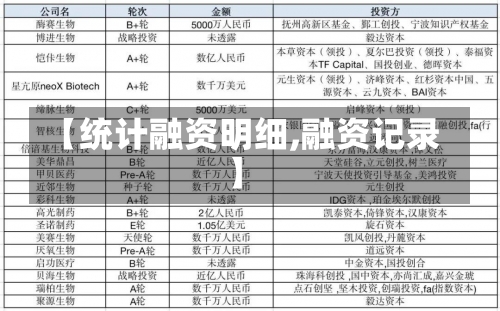 【统计融资明细,融资记录】