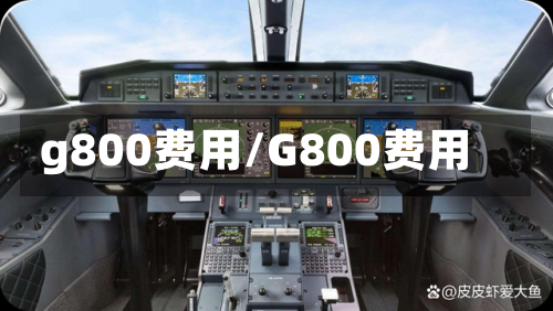 g800费用/G800费用