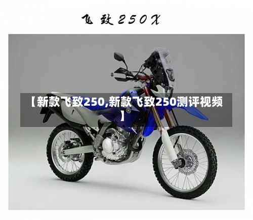 【新款飞致250,新款飞致250测评视频】