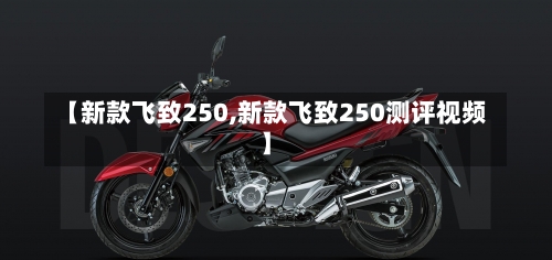 【新款飞致250,新款飞致250测评视频】