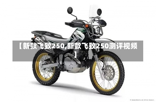 【新款飞致250,新款飞致250测评视频】