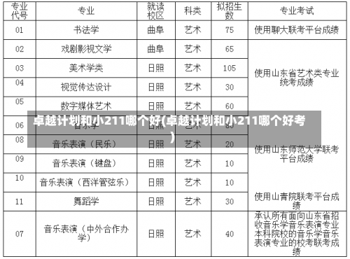 卓越计划和小211哪个好(卓越计划和小211哪个好考)