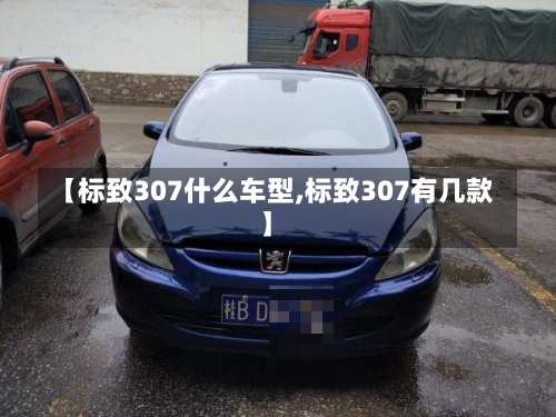 【标致307什么车型,标致307有几款】