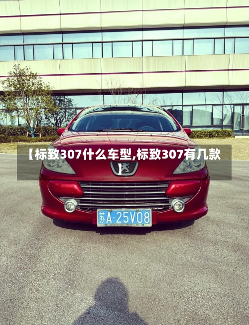 【标致307什么车型,标致307有几款】